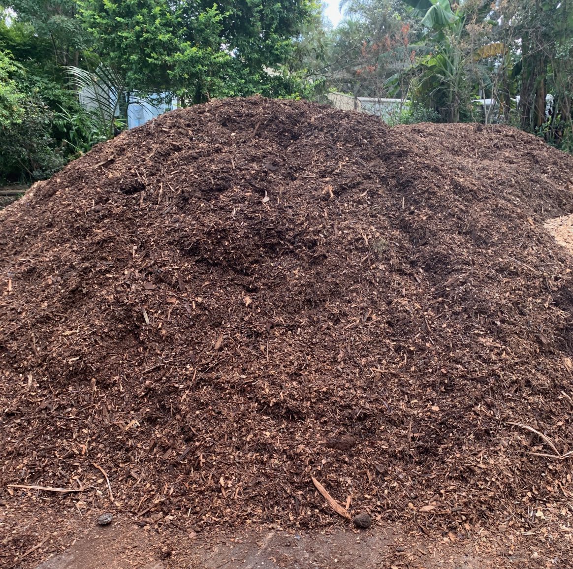 Forest Mulch ‘A’ Grade 30/m3 Warner Garden Centre